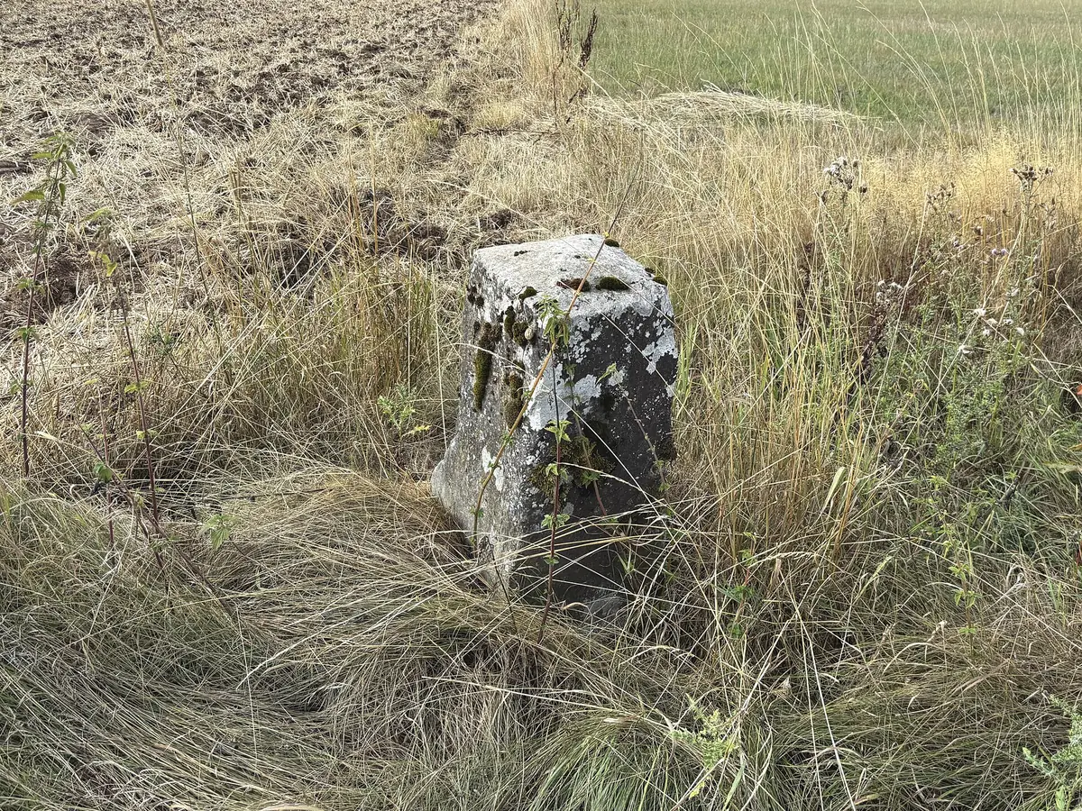 Een oude grenssteen in hoog gras aan de rand van een akker